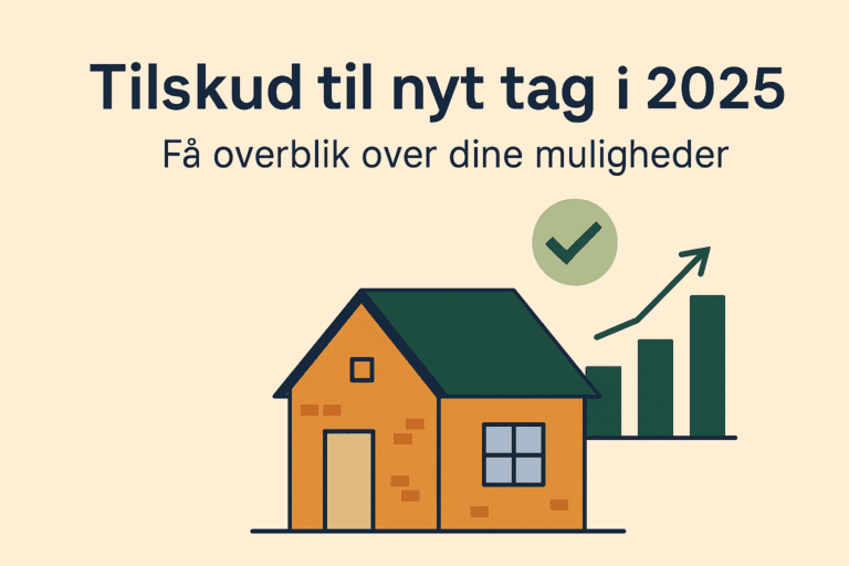 Tilskud til nyt tag i 2025