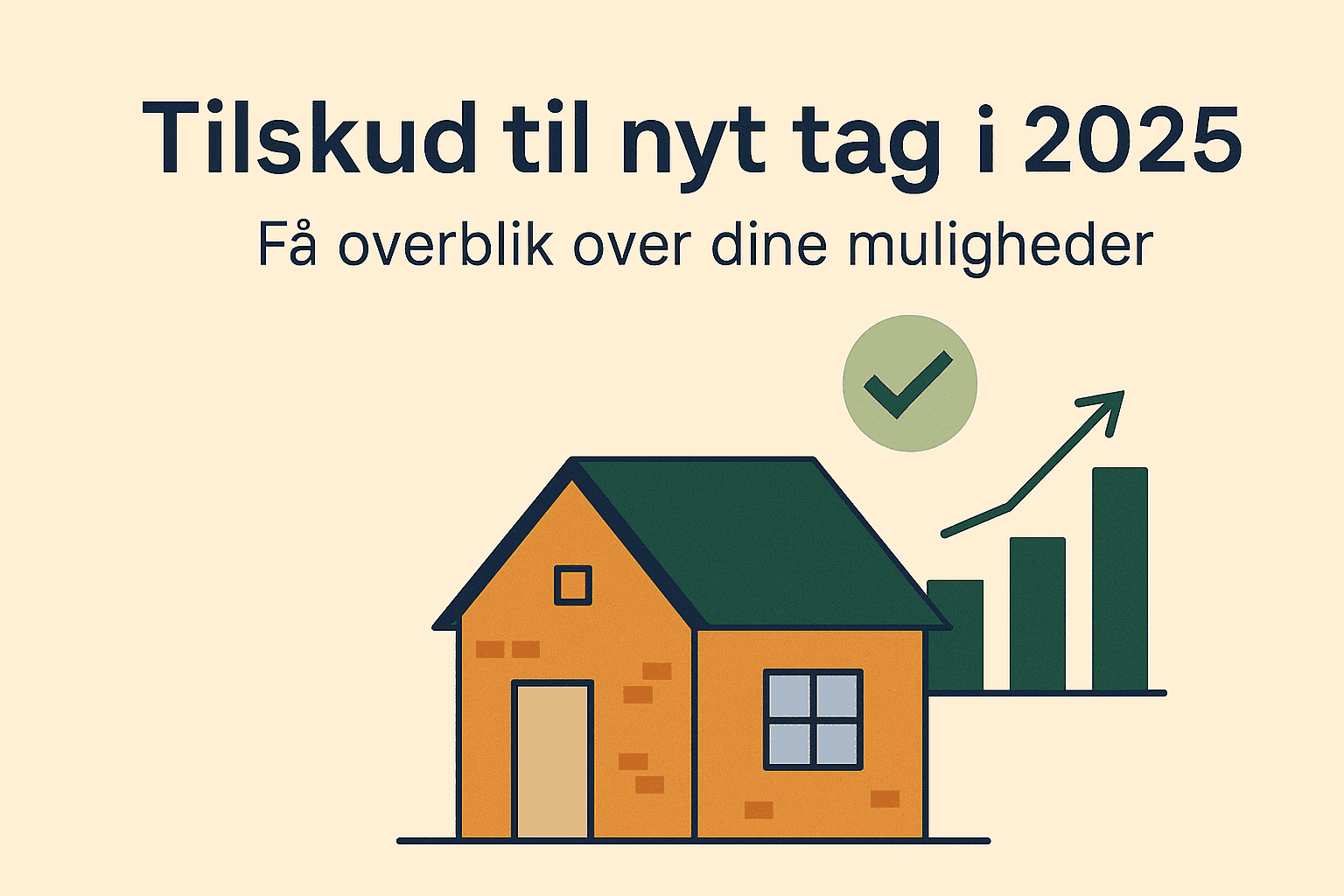 Tilskud til nyt tag i 2025
