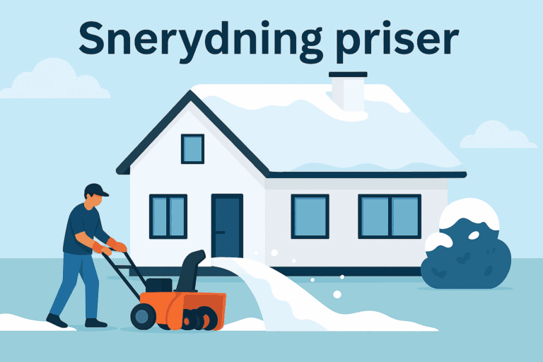 Snerydning priser 2025 – Hvad koster det at få ryddet sne